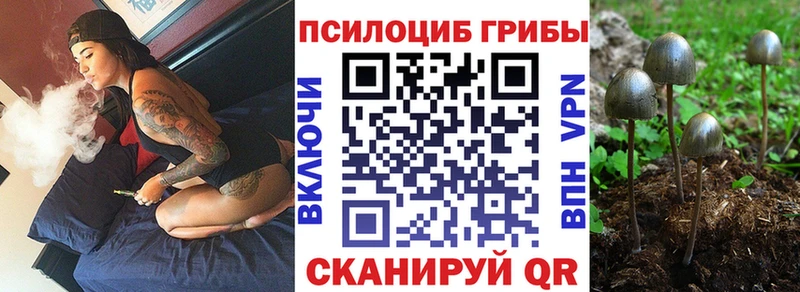 Псилоцибиновые грибы прущие грибы  купить   Заозёрный 