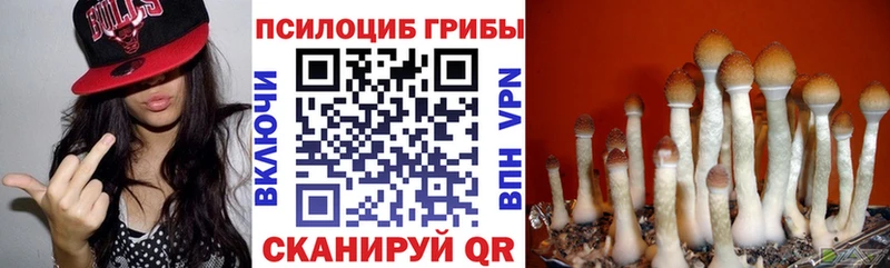 Псилоцибиновые грибы GOLDEN TEACHER Заозёрный